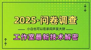2025问卷调查最新工作室技术解密：一个人在家也可以闷声发大财，小白一天2张，可矩阵放大【揭秘】-苏舒创业网