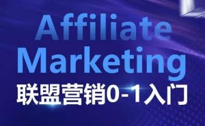 ​​​​​​Affiliate Marketing联盟营销0-1入门，联盟营销基本逻辑 联盟平台逻辑及联盟客逻辑全面详解-苏舒创业网