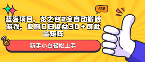 蓝海项目，龙之谷2全自动搬砖游戏，单窗口日收益30＋可批量矩阵-苏舒创业网