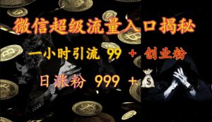 微信超级流量入口揭秘：一小时引流 99 + 创业粉，日涨粉 999 +-苏舒创业网