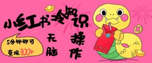 小红书冷知识账号，无脑复制粘贴，5分钟即可变现3张-苏舒创业网