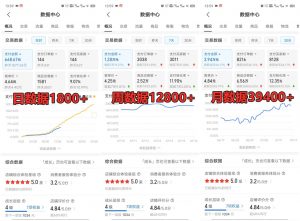 拼多多虚拟店铺项目,电脑挂机自动发货,单店日利润300+-苏舒创业网