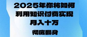 2025年,你将如何利用知识付费实现月入十万,甚至年入百万?-苏舒创业网