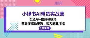小绿书AI带货实战营：公众号+视频号联动，教会你选品带货，助力副业增收-苏舒创业网