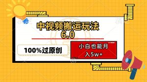 中视频搬运玩法6.0,利用软件双重去重,100%过原创,小白也能月入5w+-苏舒创业网