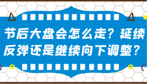 某公众号付费文章：节后大盘会怎么走？延续反弹还是继续向下调整？-苏舒创业网