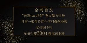 小红书神奇图片引流法，只需一张图，就能单条笔记凭借此方法，轻松引流 300 + 精准创业粉-苏舒创业网