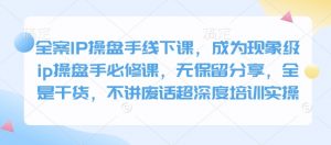 全案IP操盘手线下课,成为现象级ip操盘手必修课,无保留分享,全是干货,不讲废话超深度培训实操-苏舒创业网