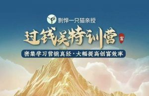 剽悍一只猫-过钱关特训营，学习营销真经 大幅度提高创富效率-苏舒创业网