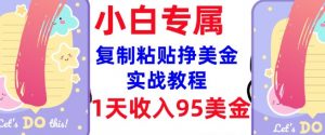 复制粘贴挣美金,0门槛,1天收入95美刀,3分钟学会,内部教程(首次公开)-苏舒创业网