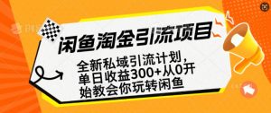 闲鱼淘金私域引流计划，从0开始玩转闲鱼，副业也可以挣到全职的工资-苏舒创业网