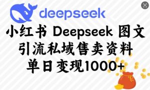 小红书Deepseek图文引流私域售卖资料，单日变现多张-苏舒创业网
