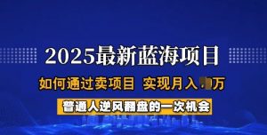 2025蓝海项目，普通人如何通过卖项目，实现月入过W，全过程【揭秘】-苏舒创业网