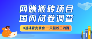 网赚搬砖项目，国内问卷调查，0基础看完就会 一天轻松三四百，靠谱副业...-苏舒创业网