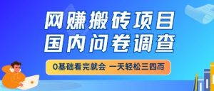 网创搬砖项目，国内问卷调查，小白轻松上手，一天三四张的也不难，干就完了【揭秘】-苏舒创业网