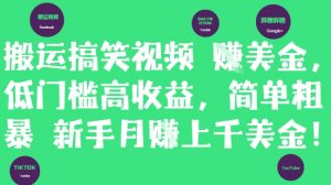 搬运搞笑视频挣美金,低门槛高收益,简单粗暴新手月入上千美刀-苏舒创业网