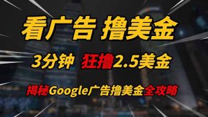 看广告，撸美金！！3分钟赚2.5美金！！日入200美金不是梦！揭秘Google...-苏舒创业网