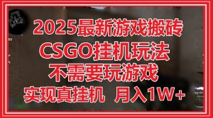 2025最新游戏搬砖，CSGO挂机，不需要玩游戏，实现真挂机，月入1W+-苏舒创业网