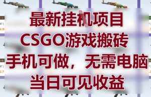 最新挂G项目，CSGO游戏搬砖，手机可做，无需电脑，当日见收益【揭秘】-苏舒创业网