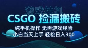 8月最新游戏搬砖，CSGO纯挂G，不需要玩游戏，实现真挂G，月入1W+【揭秘】-苏舒创业网