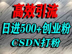 怎么打创业粉？CSDN又一个你不知道的打粉引流神秘平台，单人日引500+精准流量-苏舒创业网