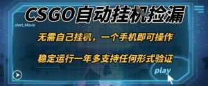 游戏自动挂G捡漏，一个手机即可操作，当天可操作见到结果，新手小白轻松月入1W+【揭秘】-苏舒创业网