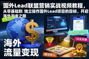 国外Lead联盟营销实战视频教程，从零基础到独立操作国外Lead项目的目标，开启海外淘金之路-苏舒创业网