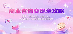 商业咨询变现全攻略：销售、营销思维，引流锁客，海报制作，快速打造私域赚钱模式-苏舒创业网