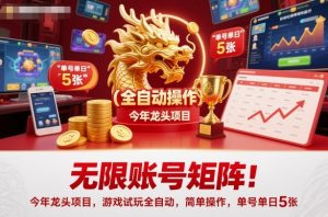 无限账号矩阵！今年龙头项目，游戏试玩全自动，简单操作，单号单日5张【揭秘】-苏舒创业网