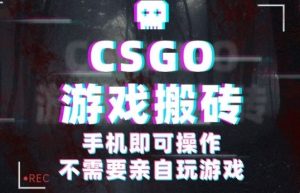 CSGO游戏挂G捡漏，单日扫货5张+，年底小高峰上车可吃肉，手机即可操作，兼职副业创业网创【揭秘】-苏舒创业网