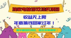 独家电脑游戏挂G项目，常年稳定，收益无上限，年底搞钱回家过年【揭秘】-苏舒创业网