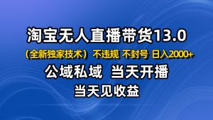淘宝无人直播13.0,公域私域技术,不封号,不违规 布局下半年旺季赛道,日入2000+-苏舒创业网