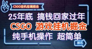 25年底搞钱回家过年，CSGO游戏挂机掘金，纯手机操作超简单-苏舒创业网