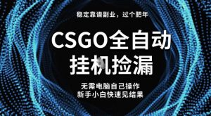 【稳定副业】全球最热门游戏CSGO全自动捡漏，最新玩法，新手小白日入5张+【揭秘】-苏舒创业网