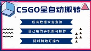 CSGO全自动搬砖，年底钱回家好项目，当天可拿到结果，新手小白轻松月入1W+【揭秘】-苏舒创业网
