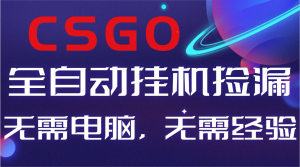 【副业好项目】全球火爆游戏CSGO自动捡漏，新手小白日入500+-苏舒创业网