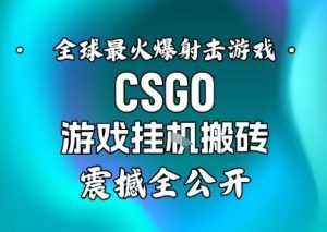 【年底大揭秘】基于全球最火爆的射击CSGO游戏挂G搬砖，日入5张+，震撼公开-苏舒创业网