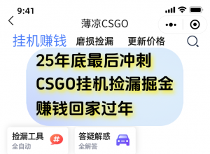 12月年底抓紧最后一个月，用CSGO游戏挂机捡漏掘金赚钱掘金，一部手机轻松日入500+-苏舒创业网