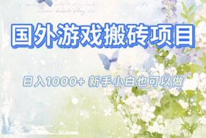 国外游戏搬砖项目，日入1k+，全自动解放双手，新手小白也可做【揭秘】-苏舒创业网