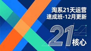 淘系21天运营速成班-12月更新,能够快速复制落地,系统掌握淘系盈利运营的核心技能-苏舒创业网