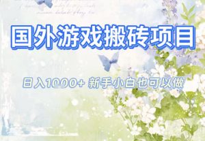 国外游戏全自动搬砖项目，日入10张，新手小白也可做，项目红利期，先搞先吃肉【揭秘】-苏舒创业网