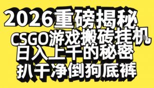 2026开年重磅解密，CSGO游戏搬砖挂G日入1k+的秘密，把倒狗的底裤扒干【揭秘】-苏舒创业网