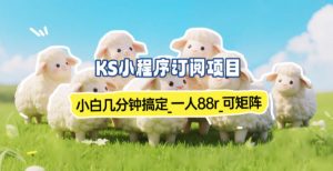 小程序订阅项目_小白几分钟搞定，一人88米，可矩阵(已测到账)-苏舒创业网