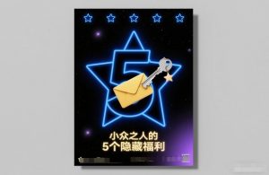 付费文章：小众之人的5个隐藏福利-苏舒创业网