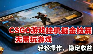 CSGO游戏挂G掘金捡漏，不需要玩游戏，操作简单，收益稳定【揭秘】-苏舒创业网