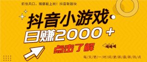 5年爆火的抖音小游戏项目，一部手机日入2000+-苏舒创业网