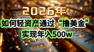 2026年如何轻资产通过“撸美金”实现年入500w-苏舒创业网