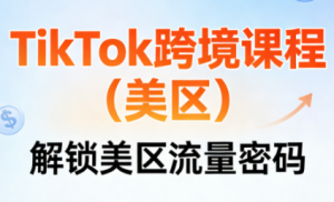 TikTok跨境课程(美区)-苏舒创业网