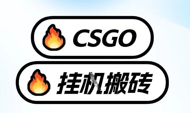 真全网独家CSGO挂G,最新玩法,单日捡漏1K+,不用电脑,不用打游戏【揭秘】-苏舒创业网