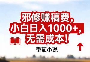 番茄小说赚稿费邪修玩法无需成本，真实日入1000+，超级简单！-苏舒创业网